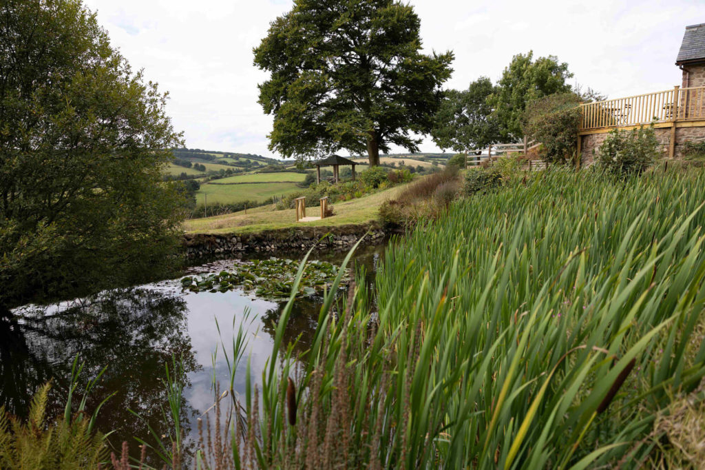 Pond with tall grasses in the foreground, with a gazebo and rolling countryside in the background.