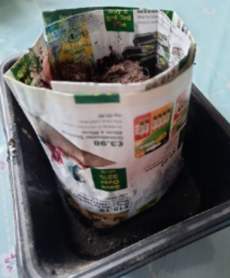 Newspaper plant pot filled with soil, placed in a tray