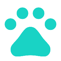 animal footprint icon