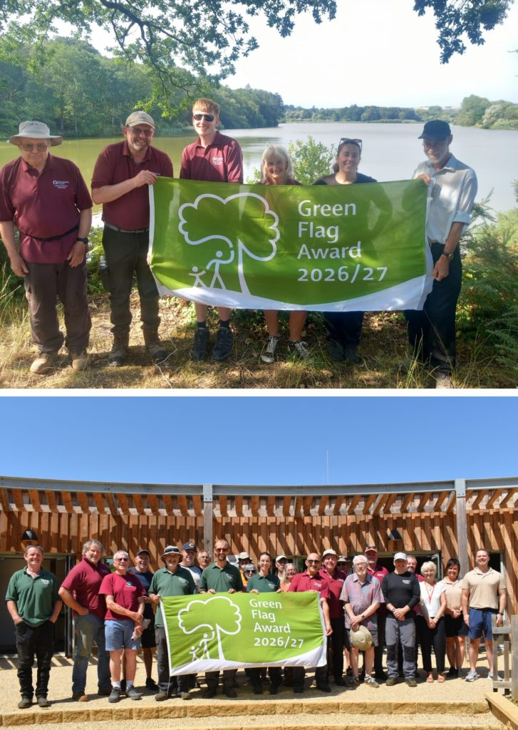 Collage showing celebrations of 2026 Green Flag Awards at 2 Somerset sites. Top: Chard Ranger Hannah Stanton (second from right) with volunteers at Chard Reservoir celebrating the site’s 2026 Green Flag Award. Bottom: Ham Hill staff and volunteers celebrate the site's 2026 Green Flag Award outside Ham Hill Visitor Centre.