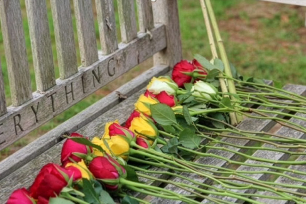 Red and yellow roses laid on the Afterlife bench in Taunton, creating a place for remembrance and quiet reflection.