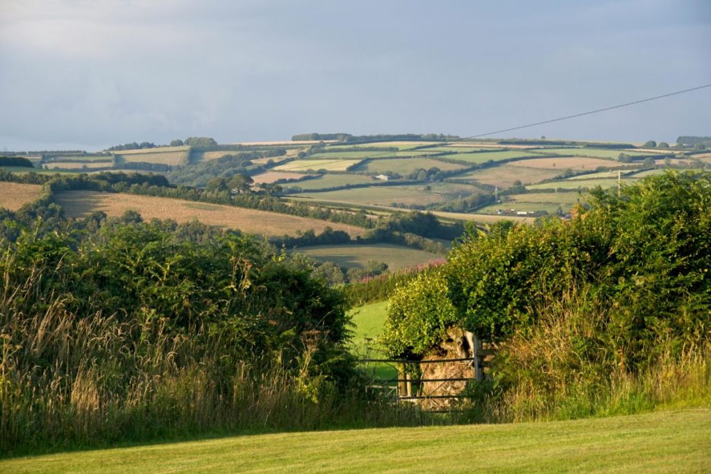 Image of landscape of somerset, hills, green fields, farmland with gate in foreground.